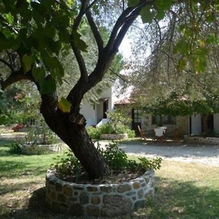 Traditionelles Appartement Athos Shadow Am Meer Paralia Sikias Buitenkant foto