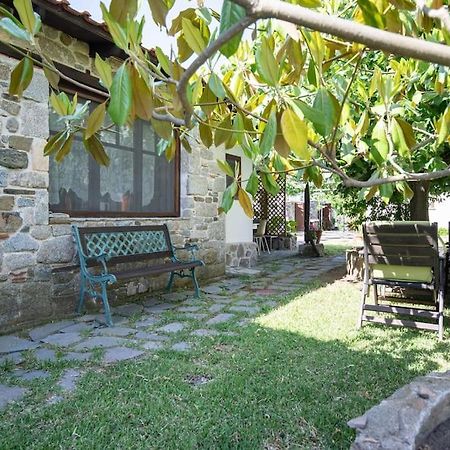 Traditionelles Appartement Athos Shadow Am Meer Paralia Sikias Buitenkant foto