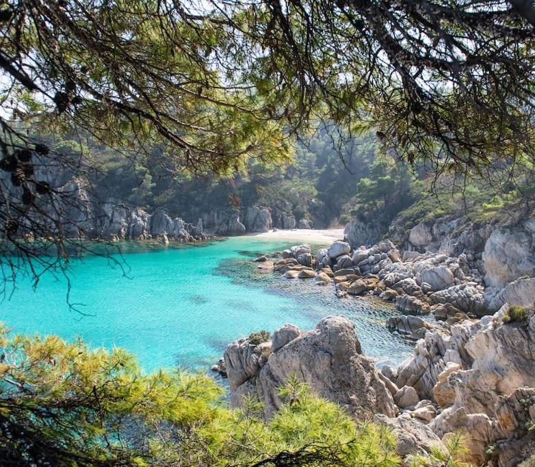 Traditionelles Appartement Athos Shadow Am Meer Paralia Sikias Buitenkant foto