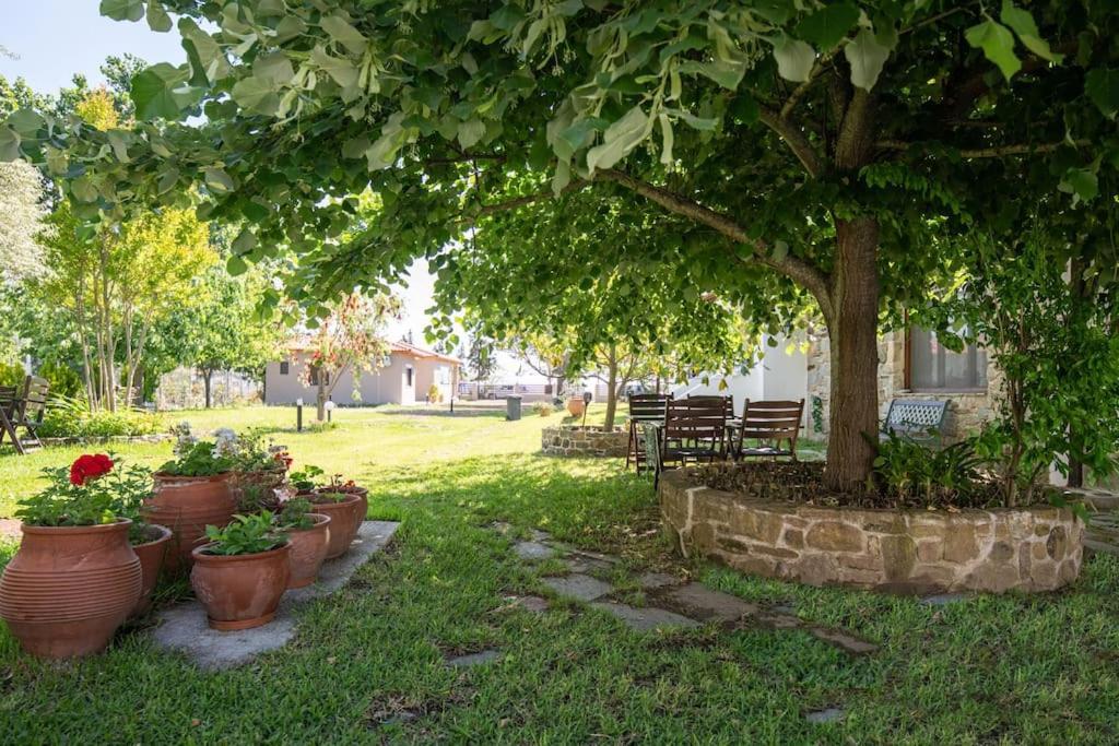 Traditionelles Appartement Athos Shadow Am Meer Paralia Sikias Buitenkant foto