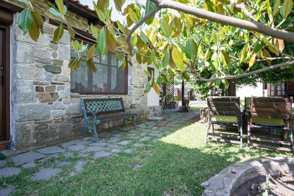 Traditionelles Appartement Athos Shadow Am Meer Paralia Sikias Buitenkant foto