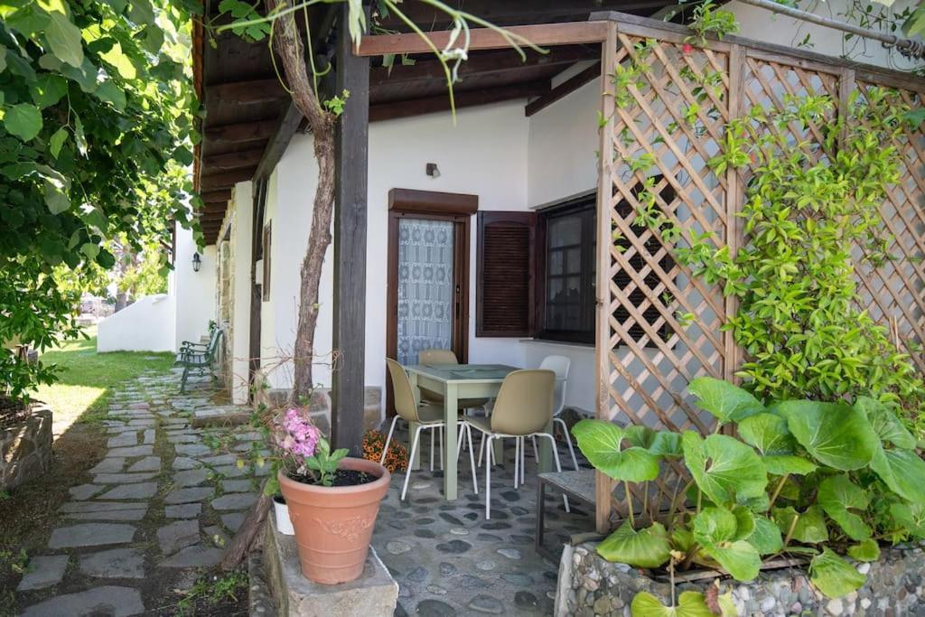 Traditionelles Appartement Athos Shadow Am Meer Paralia Sikias Buitenkant foto