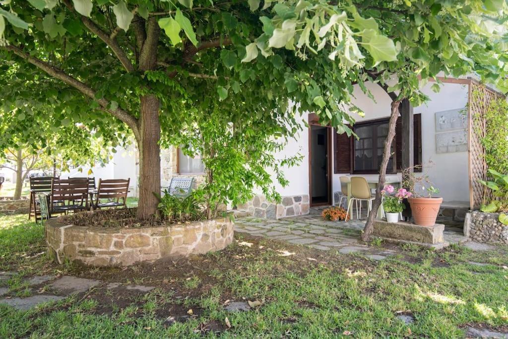 Traditionelles Appartement Athos Shadow Am Meer Paralia Sikias Buitenkant foto