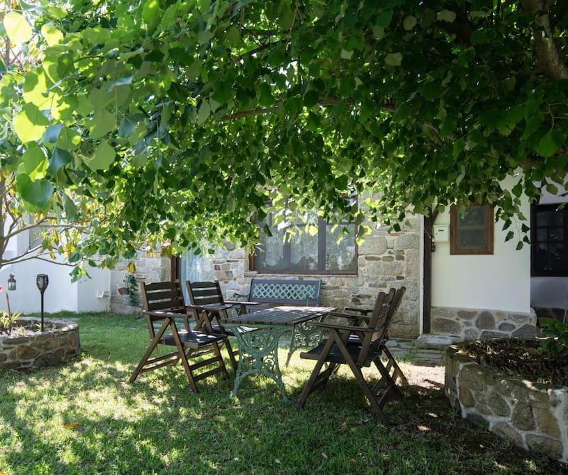 Traditionelles Appartement Athos Shadow Am Meer Paralia Sikias Buitenkant foto