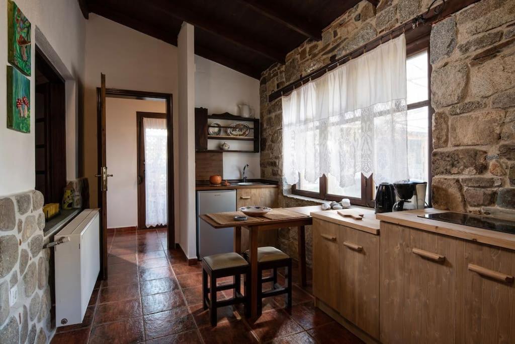 Traditionelles Appartement Athos Shadow Am Meer Paralia Sikias Buitenkant foto