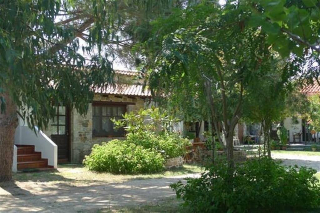 Traditionelles Appartement Athos Shadow Am Meer Paralia Sikias Buitenkant foto