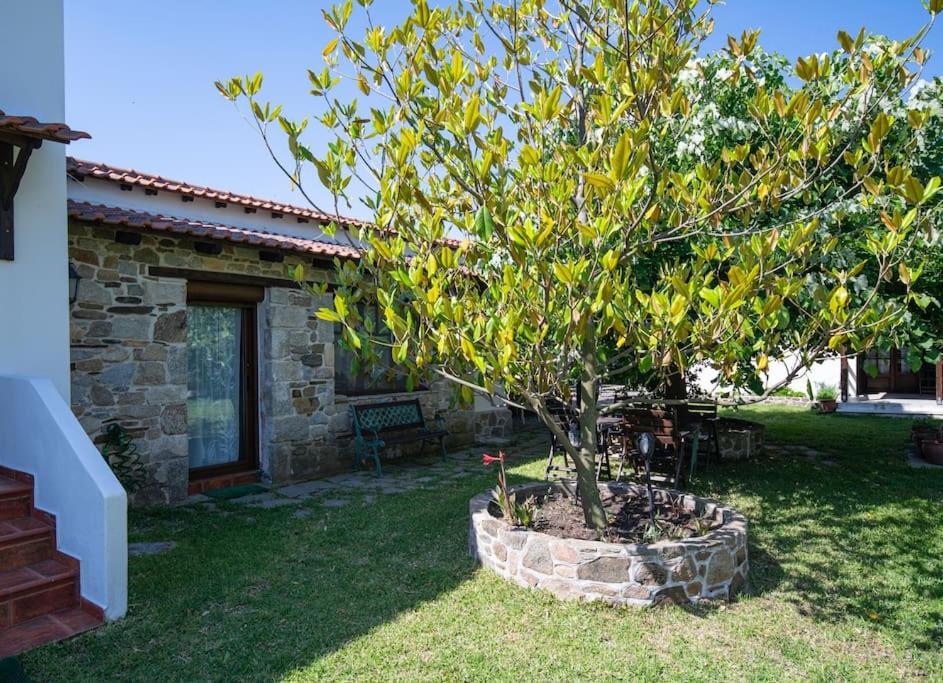 Traditionelles Appartement Athos Shadow Am Meer Paralia Sikias Buitenkant foto