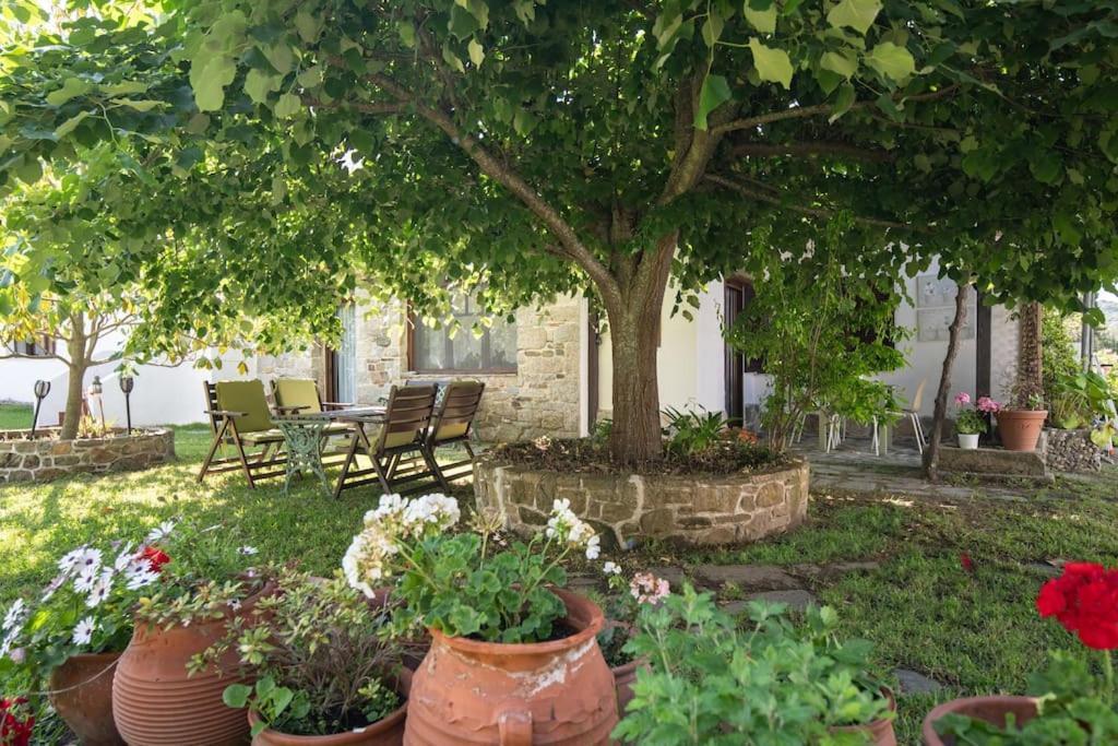 Traditionelles Appartement Athos Shadow Am Meer Paralia Sikias Buitenkant foto