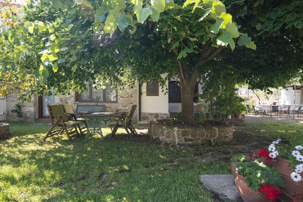 Traditionelles Appartement Athos Shadow Am Meer Paralia Sikias Buitenkant foto
