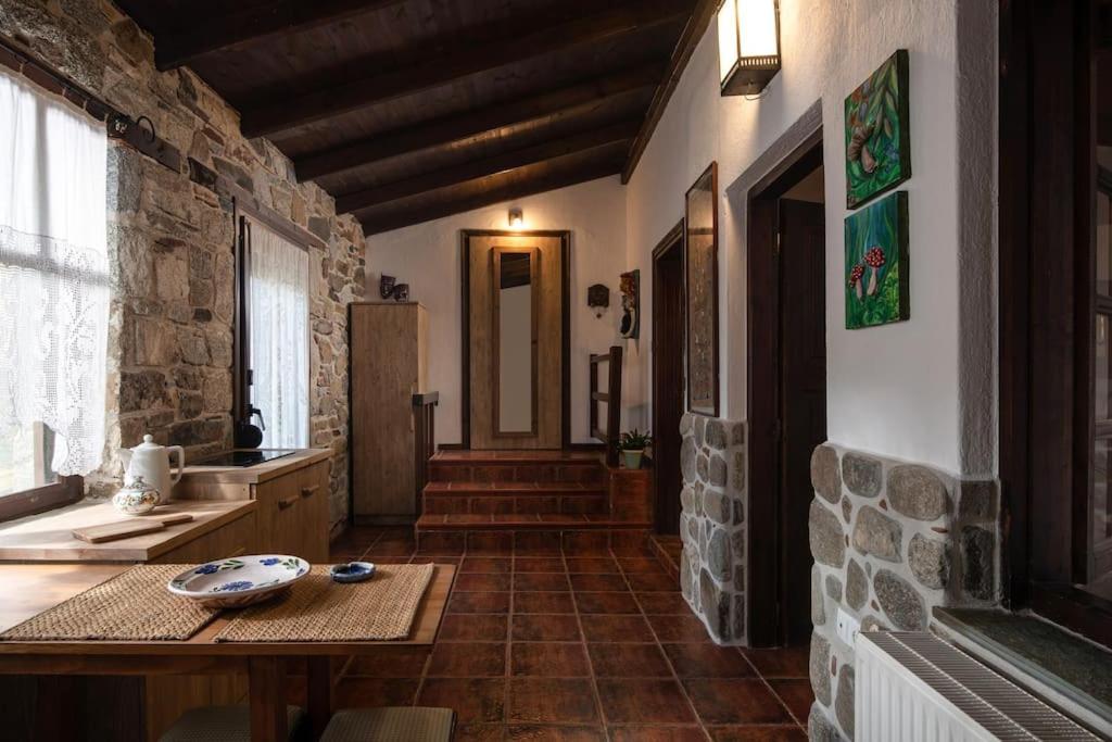 Traditionelles Appartement Athos Shadow Am Meer Paralia Sikias Buitenkant foto